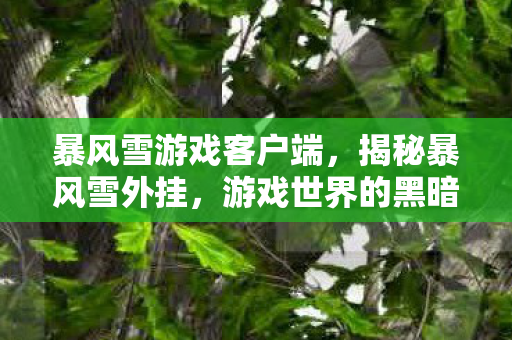 暴风雪游戏客户端，揭秘暴风雪外挂，游戏世界的黑暗面