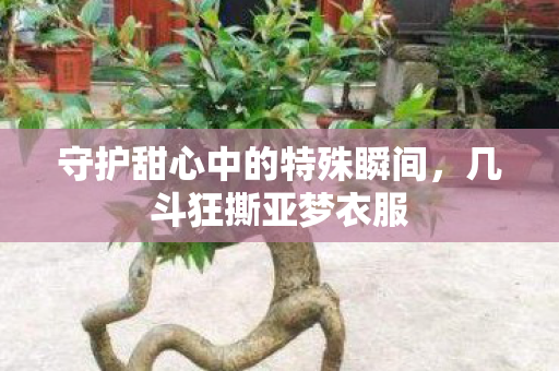 守护甜心中的特殊瞬间，几斗狂撕亚梦衣服