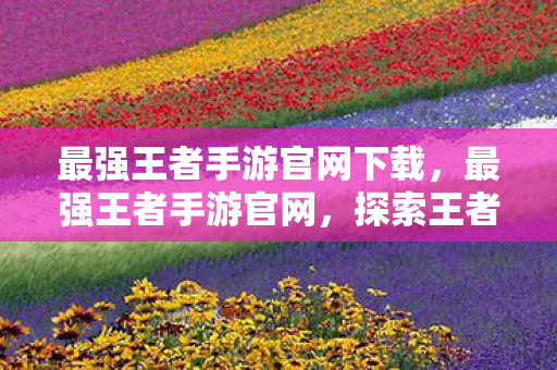 最强王者手游官网下载，最强王者手游官网，探索王者之巅的必经之路