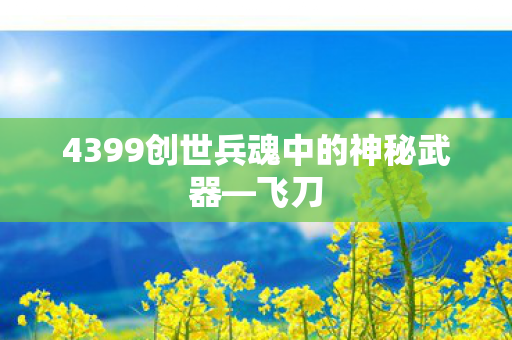 4399创世兵魂中的神秘武器—飞刀