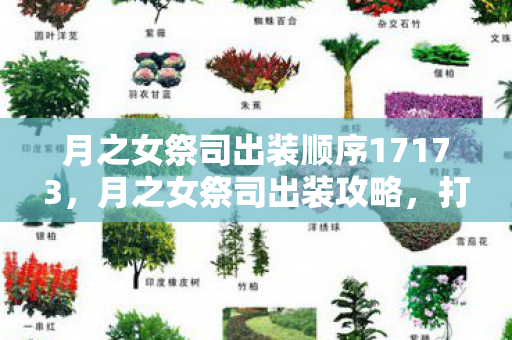 月之女祭司出装顺序17173，月之女祭司出装攻略，打造完美英雄装备组合