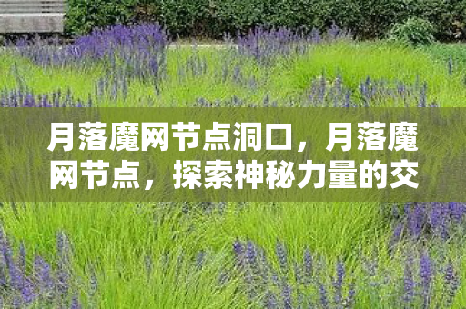 月落魔网节点洞口，月落魔网节点，探索神秘力量的交汇点