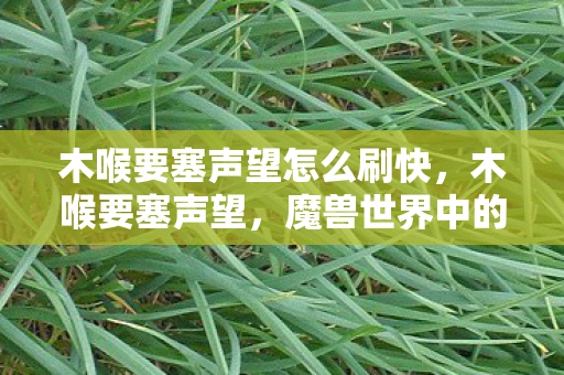 木喉要塞声望怎么刷快，木喉要塞声望，魔兽世界中的荣耀与冒险