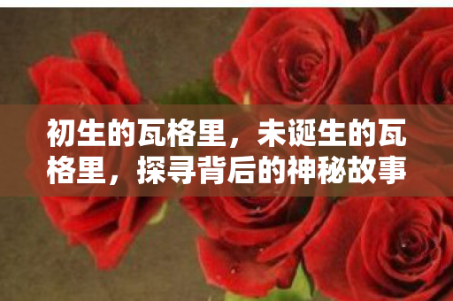 初生的瓦格里，未诞生的瓦格里，探寻背后的神秘故事