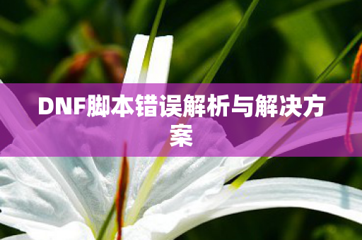 DNF脚本错误解析与解决方案