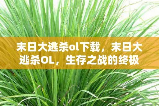 末日大逃杀ol下载，末日大逃杀OL，生存之战的终极挑战