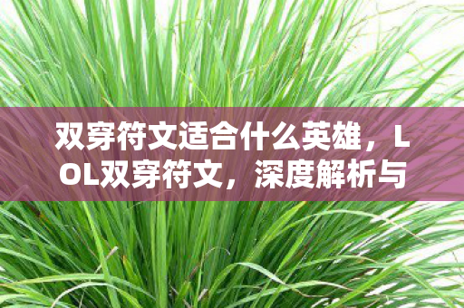 双穿符文适合什么英雄，LOL双穿符文，深度解析与实战应用指南