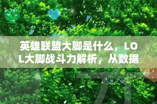 英雄联盟大脚是什么，LOL大脚战斗力解析，从数据窥探玩家的真实实力