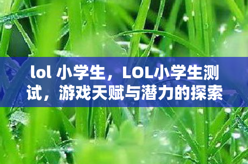 lol 小学生，LOL小学生测试，游戏天赋与潜力的探索