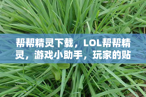 帮帮精灵下载，LOL帮帮精灵，游戏小助手，玩家的贴心伙伴