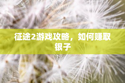 征途2游戏攻略,如何赚取银子 征途2游戏攻略,如何赚取银子