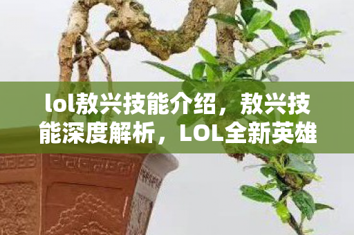 lol敖兴技能介绍，敖兴技能深度解析，LOL全新英雄的技能组合与战术应用