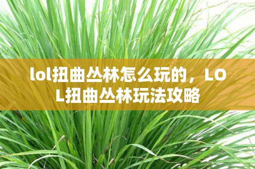 lol扭曲丛林怎么玩的，LOL扭曲丛林玩法攻略