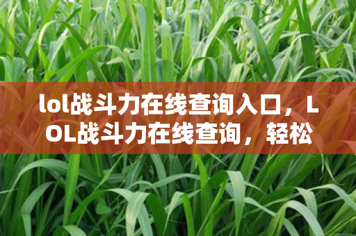 lol战斗力在线查询入口，LOL战斗力在线查询，轻松掌握游戏实力水平