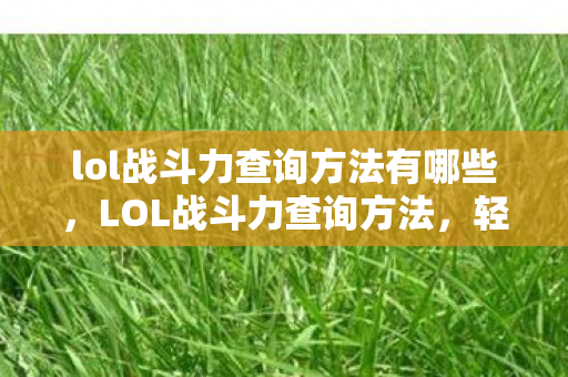 lol战斗力查询方法有哪些，LOL战斗力查询方法，轻松掌握你的游戏实力