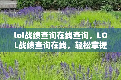 lol战绩查询在线查询，LOL战绩查询在线，轻松掌握游戏历程与战绩详情