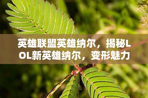 英雄联盟英雄纳尔，揭秘LOL新英雄纳尔，变形魅力与独特战术解析