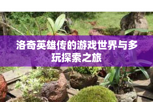 洛奇英雄传的游戏世界与多玩探索之旅