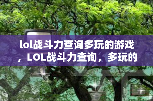 lol战斗力查询多玩的游戏，LOL战斗力查询，多玩的秘密武器