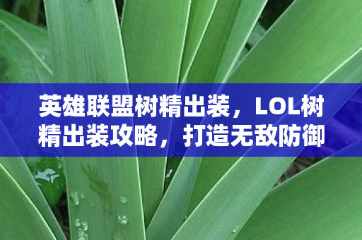 英雄联盟树精出装，LOL树精出装攻略，打造无敌防御核心