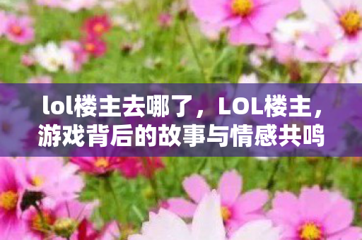 lol楼主去哪了，LOL楼主，游戏背后的故事与情感共鸣