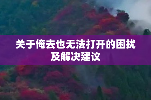 关于俺去也无法打开的困扰及解决建议