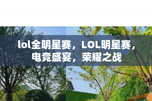 lol全明星赛，LOL明星赛，电竞盛宴，荣耀之战