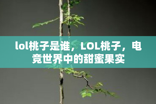 lol桃子是谁，LOL桃子，电竞世界中的甜蜜果实