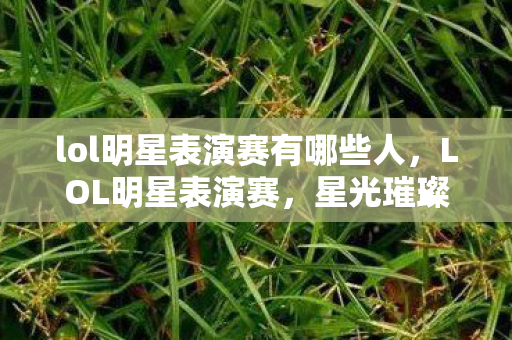lol明星表演赛有哪些人，LOL明星表演赛，星光璀璨，点燃电竞狂欢夜