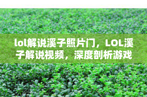 lol解说溪子照片门，LOL溪子解说视频，深度剖析游戏战术与英雄技巧