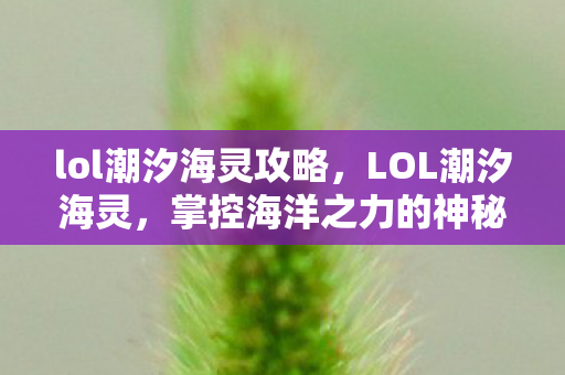 lol潮汐海灵攻略，LOL潮汐海灵，掌控海洋之力的神秘英雄