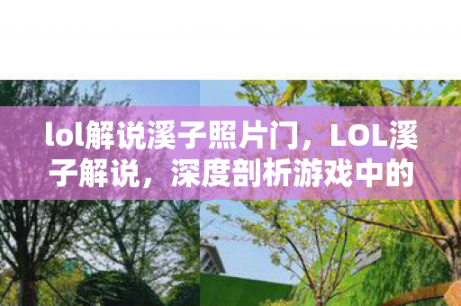 lol解说溪子照片门，LOL溪子解说，深度剖析游戏中的英雄与战术