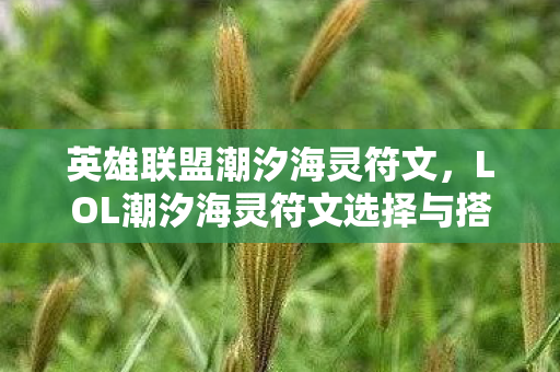 英雄联盟潮汐海灵符文，LOL潮汐海灵符文选择与搭配攻略