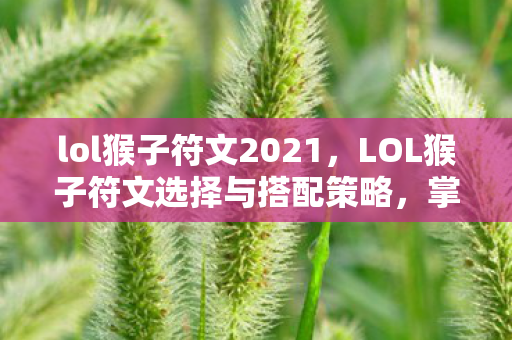 lol猴子符文2021，LOL猴子符文选择与搭配策略，掌握猴子的核心符文，轻松上分！