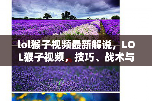 lol猴子视频最新解说，LOL猴子视频，技巧、战术与实战解析