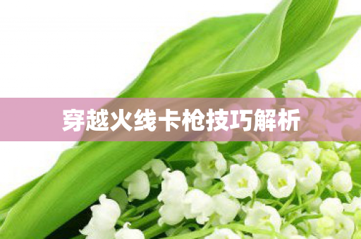 穿越火线卡枪技巧解析