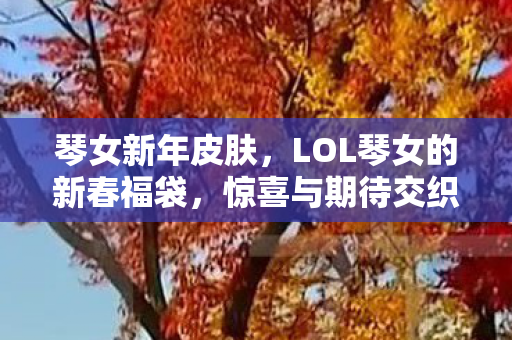 琴女新年皮肤，LOL琴女的新春福袋，惊喜与期待交织的幸运盛宴