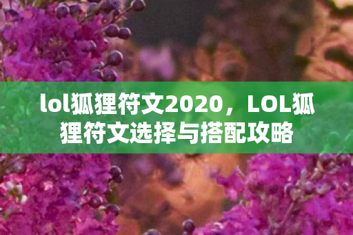 lol狐狸符文2020，LOL狐狸符文选择与搭配攻略