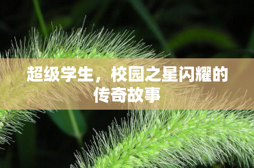 超级学生，校园之星闪耀的传奇故事