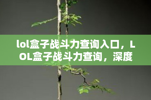 lol盒子战斗力查询入口，LOL盒子战斗力查询，深度解析与实用指南