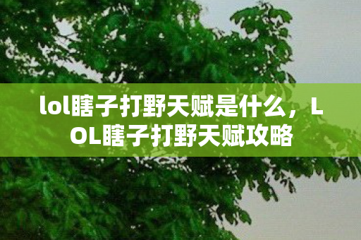 lol瞎子打野天赋是什么，LOL瞎子打野天赋攻略