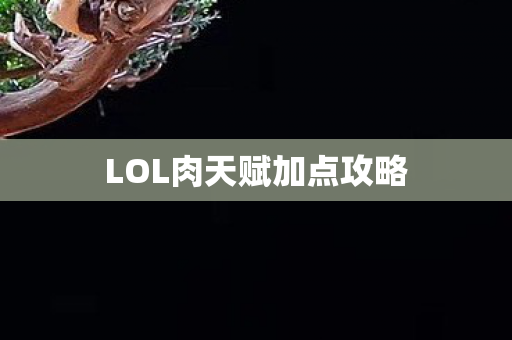 LOL肉天赋加点攻略