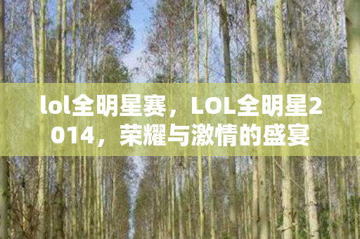 lol全明星赛，LOL全明星2014，荣耀与激情的盛宴