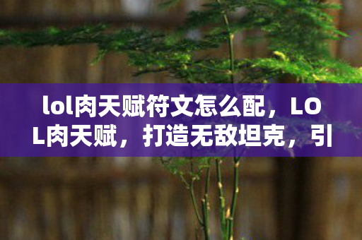 lol肉天赋符文怎么配，LOL肉天赋，打造无敌坦克，引领战场新潮流