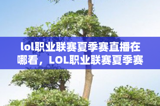 lol职业联赛夏季赛直播在哪看，LOL职业联赛夏季赛直播，战火重燃，谁能称霸赛场？