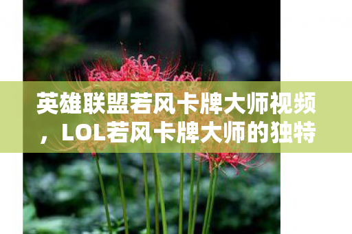 英雄联盟若风卡牌大师视频，LOL若风卡牌大师的独特魅力与战术解析