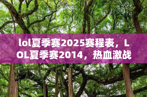 lol夏季赛2025赛程表，LOL夏季赛2014，热血激战，英雄荣耀