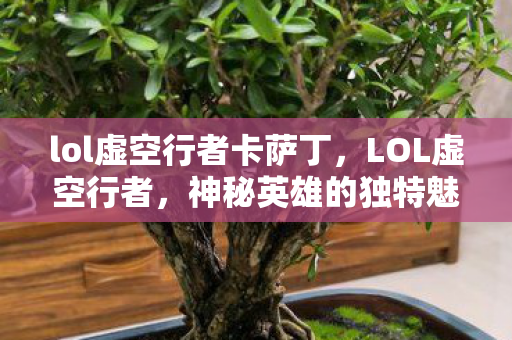 lol虚空行者卡萨丁，LOL虚空行者，神秘英雄的独特魅力与攻略秘籍