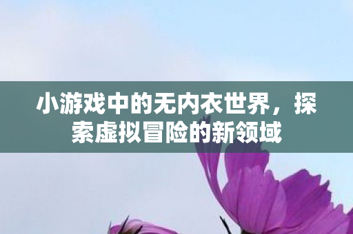 小游戏中的无内衣世界，探索虚拟冒险的新领域