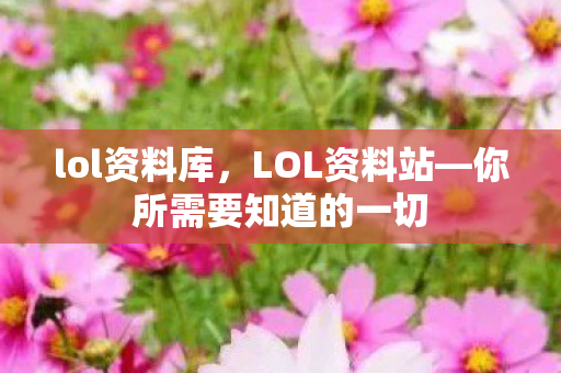 lol资料库，LOL资料站—你所需要知道的一切